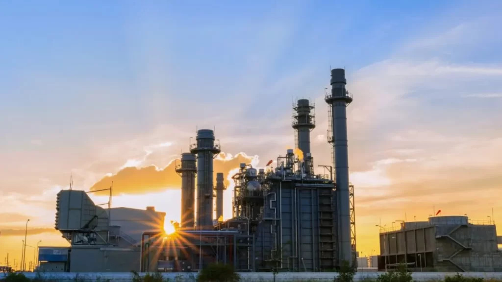 Plant and Manufacture